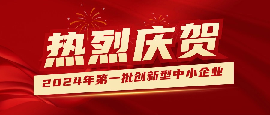 喜報！集團獲認定為2024年第一批創新型中小企業 