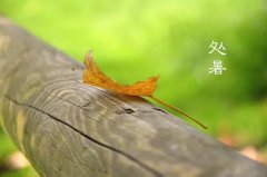 今日12時9分，迎來處暑節氣